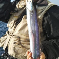 岡田釣船 八英丸 釣果