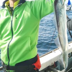 岡田釣船 八英丸 釣果