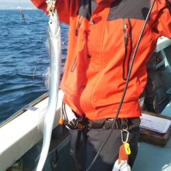 岡田釣船 八英丸 釣果