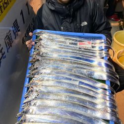 釣人家 釣果