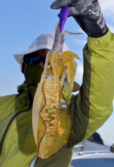 渡船屋たにぐち 釣果