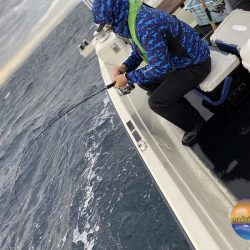 幕島丸 釣果