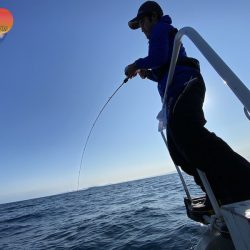 幕島丸 釣果