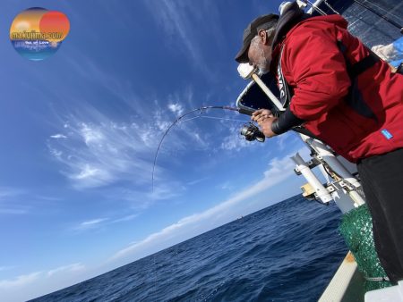 幕島丸 釣果