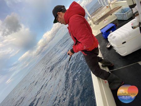 幕島丸 釣果