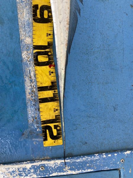 ヤザワ渡船 釣果