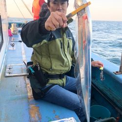 ヤザワ渡船 釣果