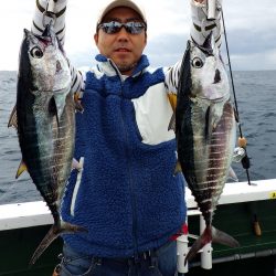 Big One ビッグワン 釣果