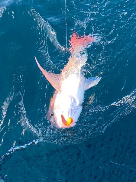 あみや渡船 JIGBOY 釣果