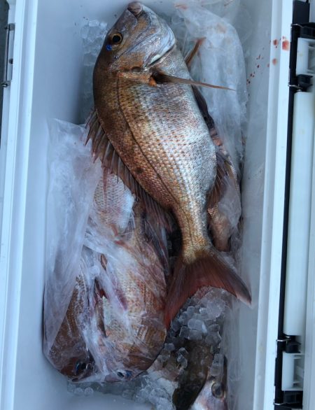 フィッシング　キッタカ 釣果