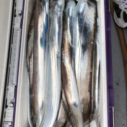 フィッシング　キッタカ 釣果