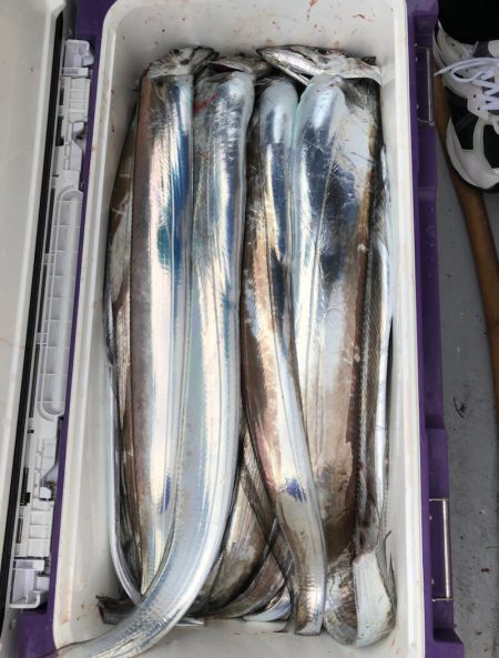 フィッシング　キッタカ 釣果