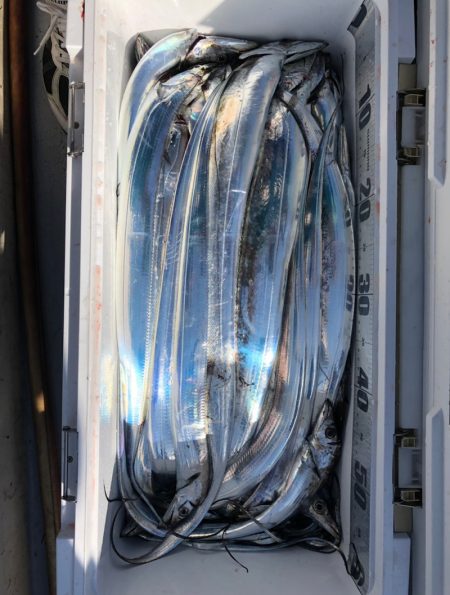 フィッシング　キッタカ 釣果