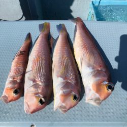 第二八坂丸 釣果