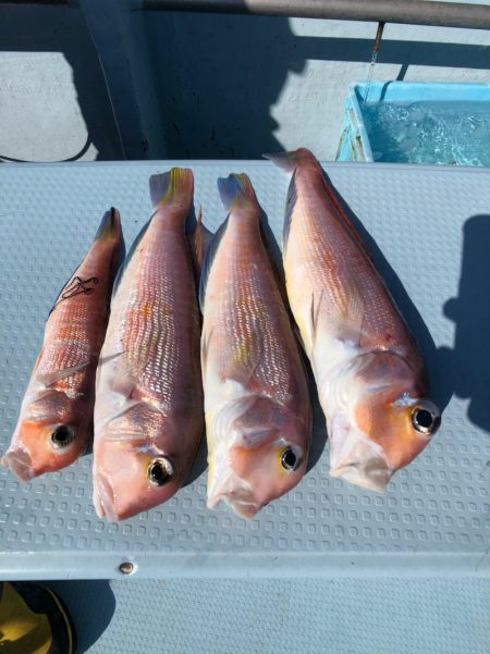 第二八坂丸 釣果