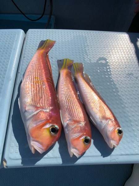 第二八坂丸 釣果