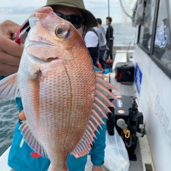 ランスルー 釣果