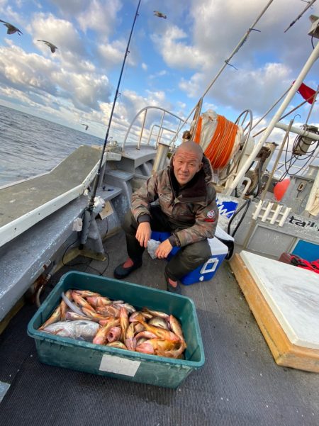 シーランチ 釣果