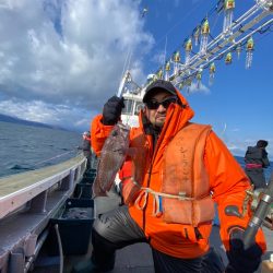 シーランチ 釣果