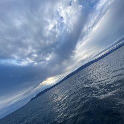 シーランチ 釣果