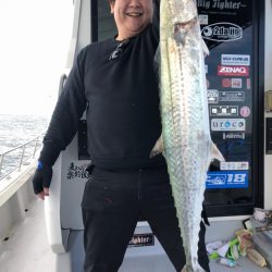 ビッグファイター 釣果