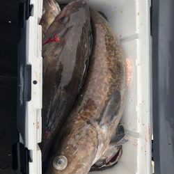 第二　つれたか丸 釣果