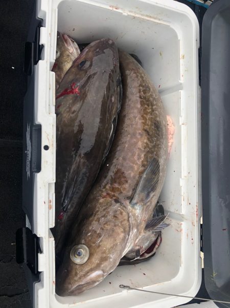 第二　つれたか丸 釣果