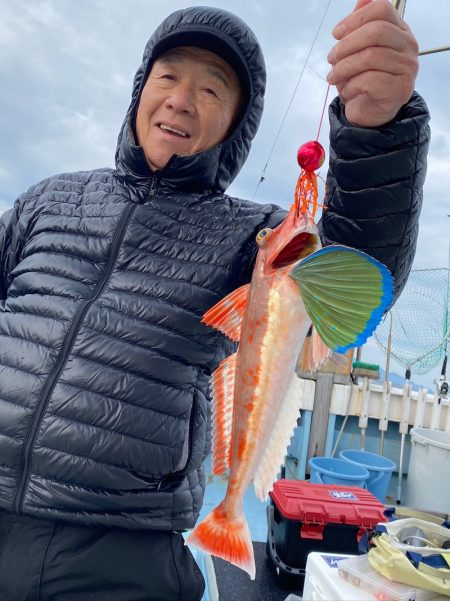 あみや渡船 JIGBOY 釣果