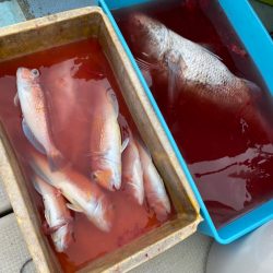 あみや渡船 JIGBOY 釣果