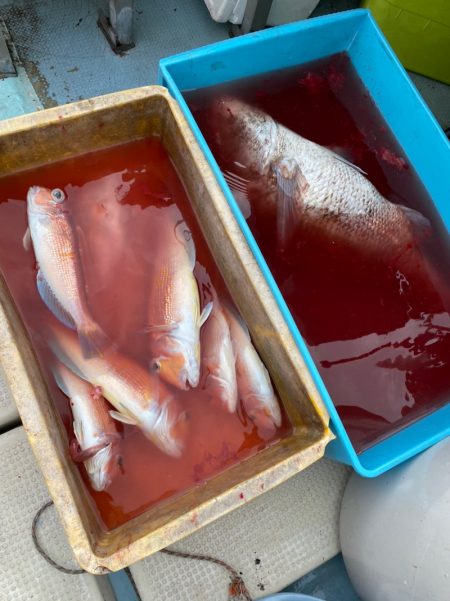 あみや渡船 JIGBOY 釣果