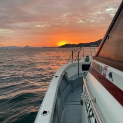 遊漁船高橋 釣果