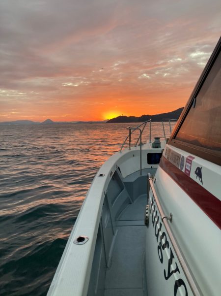 遊漁船高橋 釣果