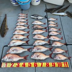 遊漁船高橋 釣果