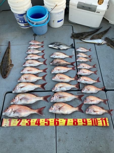 遊漁船高橋 釣果