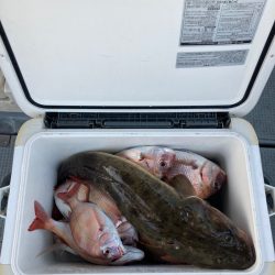 遊漁船高橋 釣果