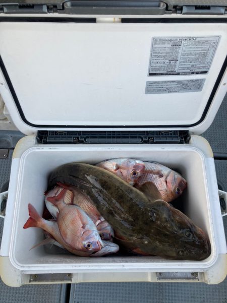 遊漁船高橋 釣果