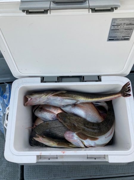 遊漁船高橋 釣果