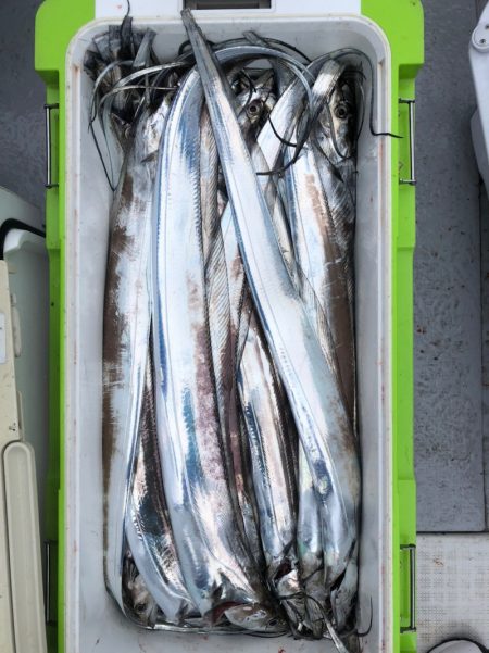 フィッシング キッタカ 釣果