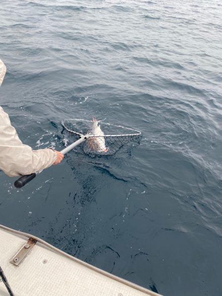 あみや渡船 JIGBOY 釣果