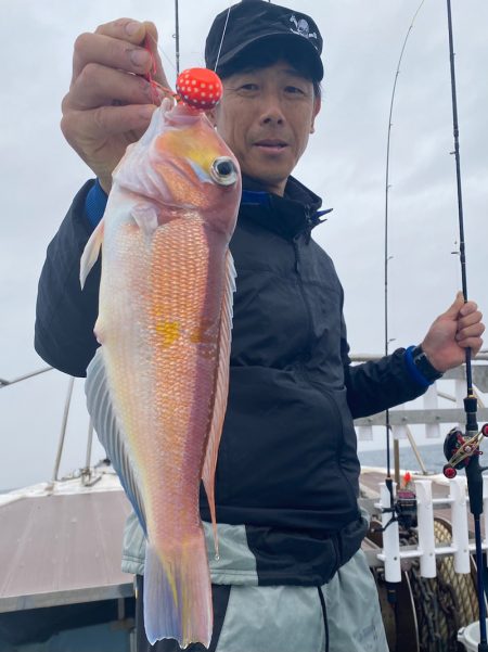 あみや渡船 JIGBOY 釣果