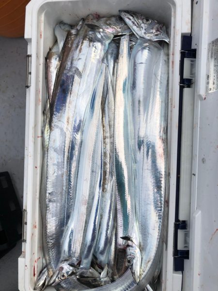 フィッシング　キッタカ 釣果