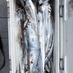 フィッシング　キッタカ 釣果