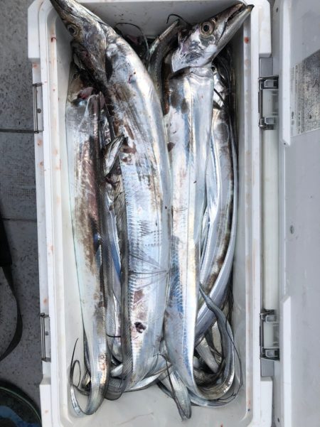 フィッシング　キッタカ 釣果