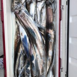 フィッシング　キッタカ 釣果