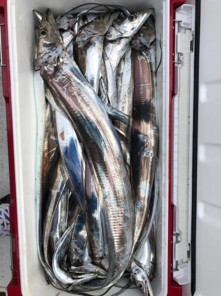 フィッシング　キッタカ 釣果