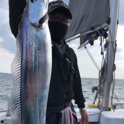 フィッシング　キッタカ 釣果