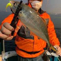 愛海丸 釣果