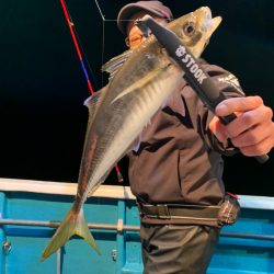 愛海丸 釣果