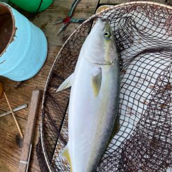 美宝丸 釣果