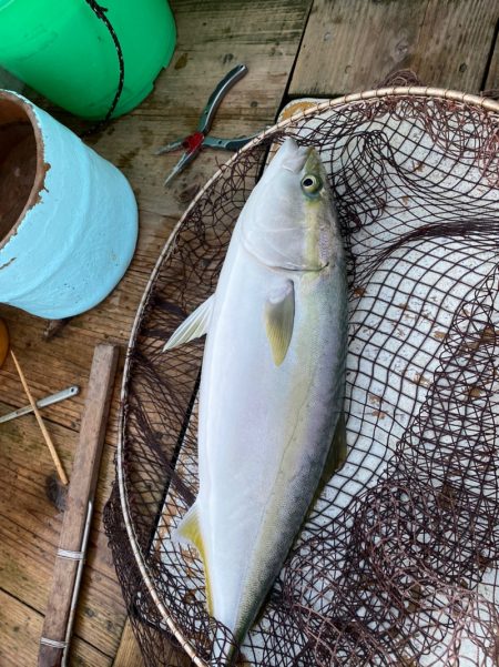 美宝丸 釣果
